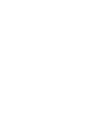 Secure icon